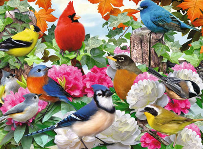 Puzzle: Garden Birds