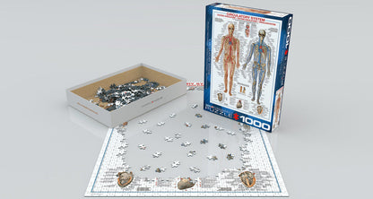 Puzzle: History & General Interest - Circulatory System