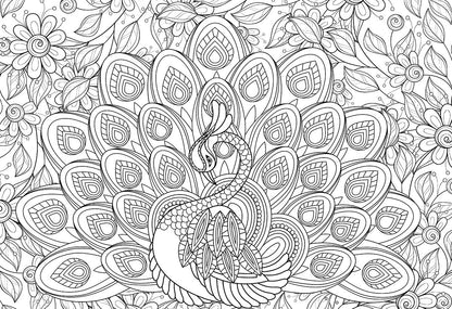 Puzzle: Color-Me Collection - Majestic Feathers