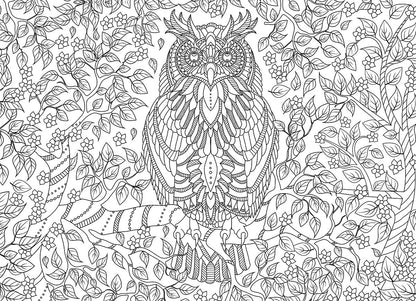 Puzzle: Color-Me Collection - Vibrant Wisdom
