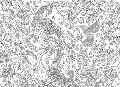 Puzzle: Color-Me Collection - Tropical Birds