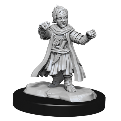 Pathfinder: Deep Cuts - Halfing Monk Male