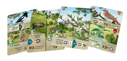 Forest Shuffle: Woodland Edge