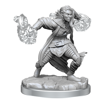 D&D: Nolzur's Marvelous Miniatures - Half-Elf Warlock