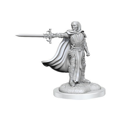 D&D: Nolzur's Marvelous Miniatures - Death Knights