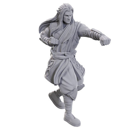D&D: Nolzur's Marvelous Miniatures - Archdruid & Martial Arts Adept