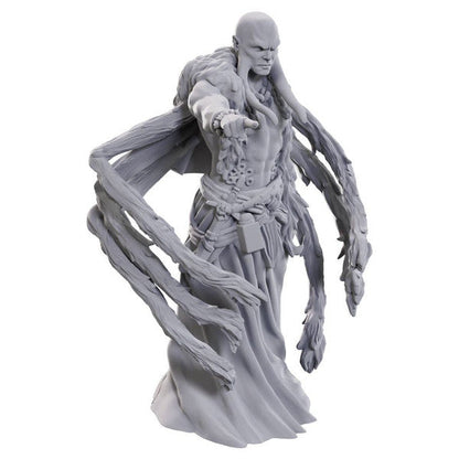 D&D: Nolzur's Marvelous Miniatures - Kraken Priest